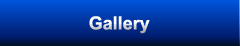 Bathrooms and Shower Gallery